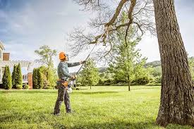 Best Mulching Services  in Hutchison, VA