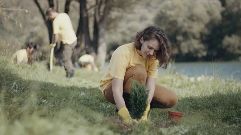 Best Lawn Renovation and Restoration  in Hutchison, VA