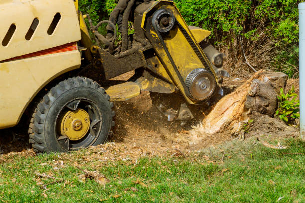 Best Lawn Mowing  in Hutchison, VA