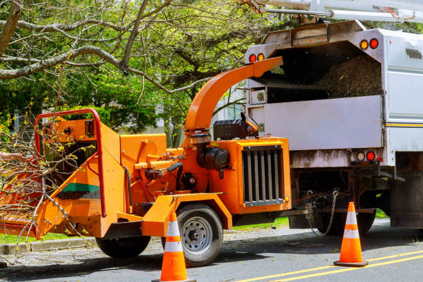Soil Testing and Treatment in Hutchison, VA